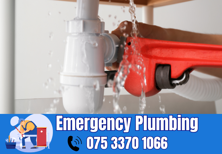  plumber Seabrook