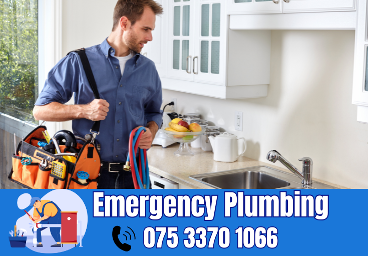  plumber Palmarsh