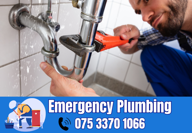  plumber Sandling